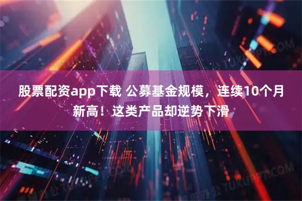股票配资app下载 公募基金规模，连续10个月新高！这类产品却逆势下滑