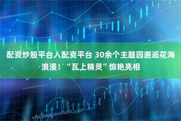 配资炒股平台入配资平台 30余个主题园邂逅花海浪漫！“瓦上精灵”惊艳亮相