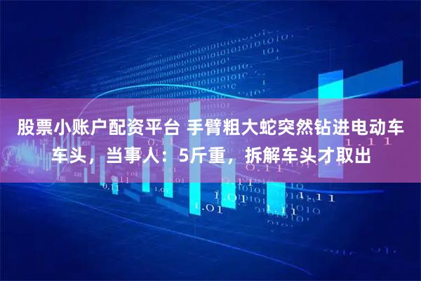 股票小账户配资平台 手臂粗大蛇突然钻进电动车车头，当事人：5斤重，拆解车头才取出